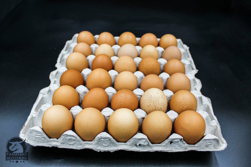 Large Tray of Eggs